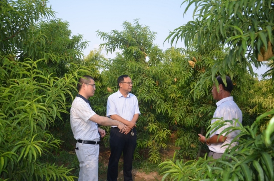 一年有一半的工作時(shí)間都在到處飛，他們?cè)谥\劃什么大事？