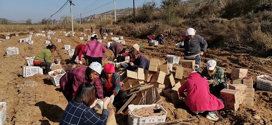 僅用一個小程序，傳統(tǒng)國貨品牌七匹狼挺進下沉市場實現(xiàn)新增客流90萬