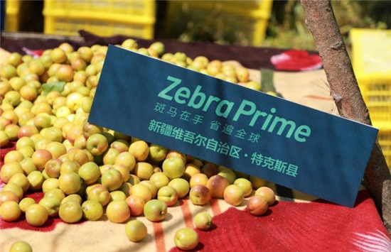 斑馬會員攜手新疆果業(yè)集團，共助當?shù)剞r(nóng)特產(chǎn)線上發(fā)展