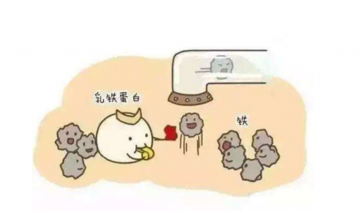 DR.HS澳洲赫醫(yī)生乳鐵蛋白：以匠心成就品質(zhì)，以有機助力成長