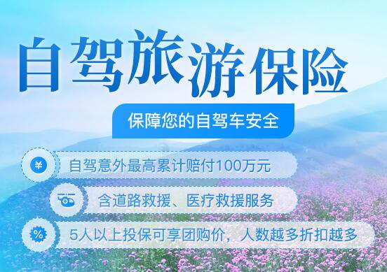 國內(nèi)旅游保險多不多？平安保險商城：滿足不同旅游人士的購險需求