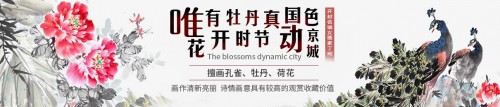 家里掛花鳥畫好嗎？丁珂手繪牡丹國畫，掛在家里好看又吉祥