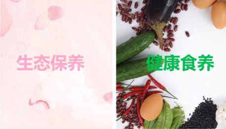 金天國(guó)際加快產(chǎn)業(yè)融合，打造全生命生態(tài)養(yǎng)護(hù)系統(tǒng)
