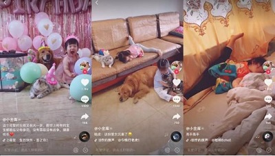 抖音發(fā)布2019數據報告 46萬個家庭拍攝全家福視頻被贊1億次