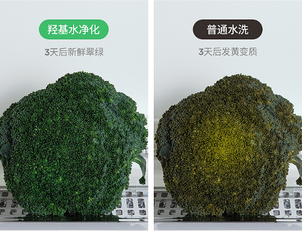 法格果蔬清洗機(jī)，清洗更“凈”一步