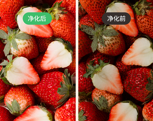 法格果蔬清洗機(jī)，清洗更“凈”一步