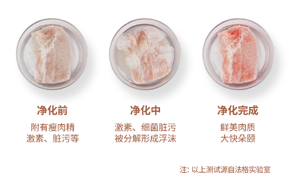 法格果蔬清洗機(jī)，清洗更“凈”一步
