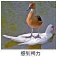 遠(yuǎn)程辦公，不用信源豆豆，你的信息真的安全嗎？