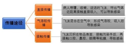 b-MOLA魚仔空氣凈化器：警惕！無癥狀感染者也可成為傳染源