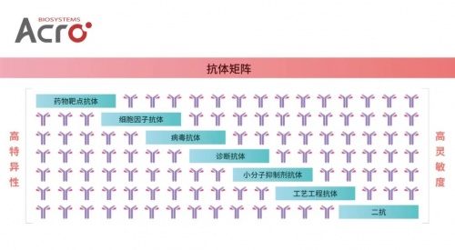 ACROBiosystems百普賽斯抗體矩陣再添新IFN-γ，助力加速生物藥研發(fā)上市進(jìn)程