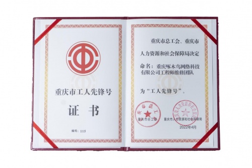 點(diǎn)贊！啄木鳥家庭維修喜提“重慶市工人先鋒號(hào)”稱號(hào)