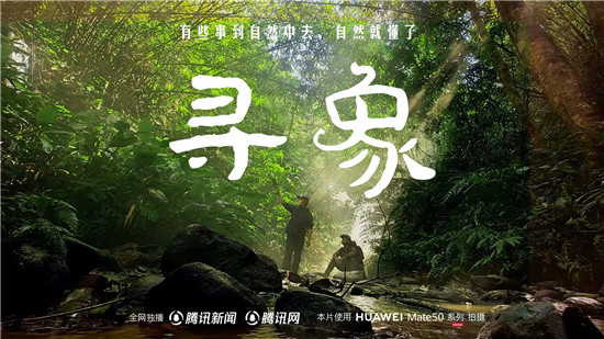 去雨林深處，聽大象長吟，自然紀(jì)錄片《尋象》正式上線！