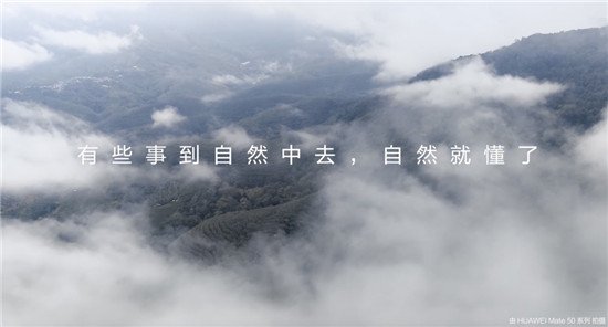 去雨林深處，聽大象長吟，自然紀(jì)錄片《尋象》正式上線！