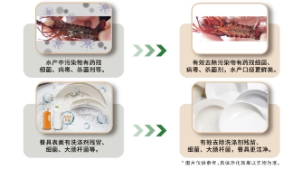 小小一臺凈食機，究竟有多大能耐？