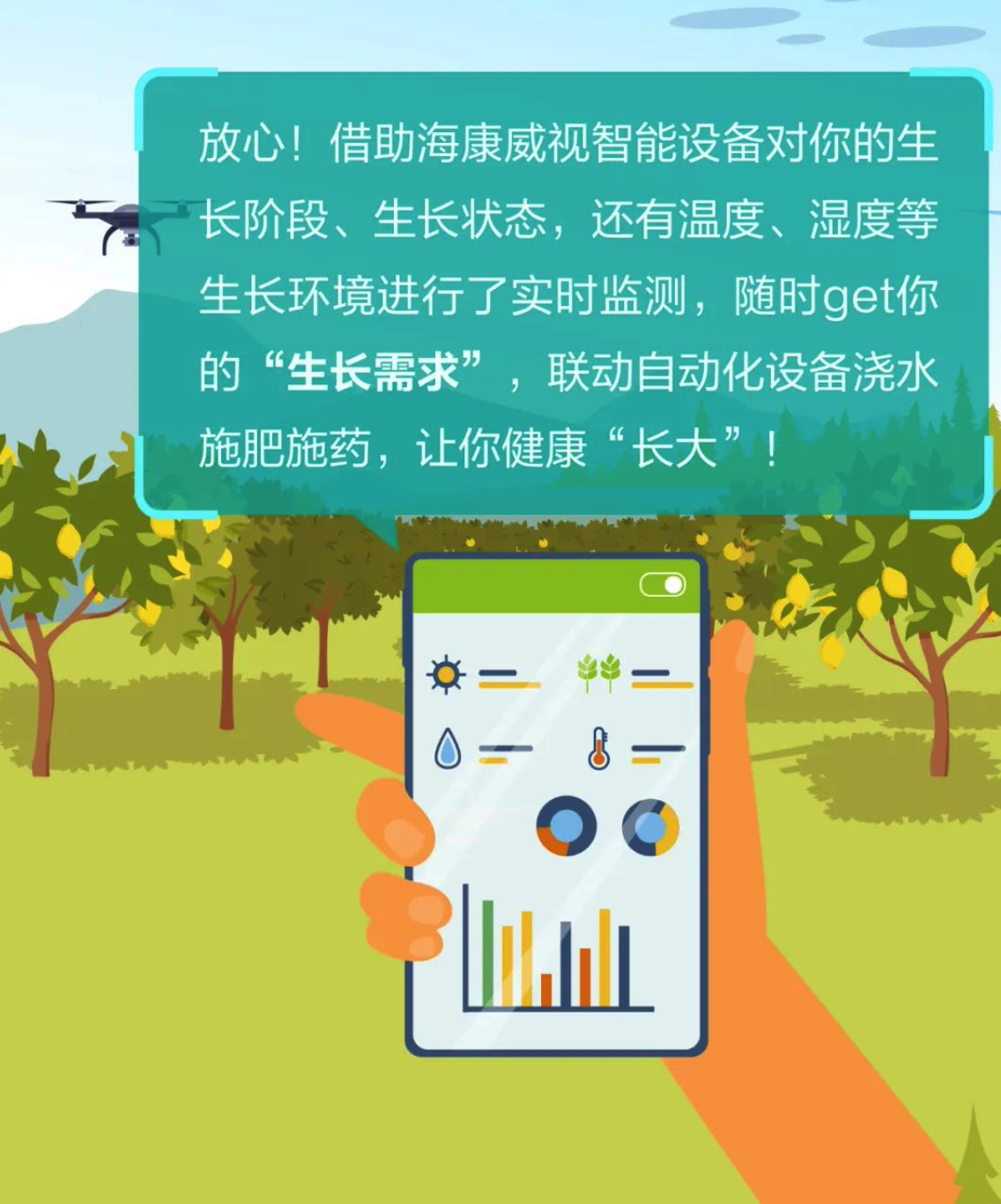 從田間地頭走到消費者手中，海康威視守護“一顆檸檬”的生長