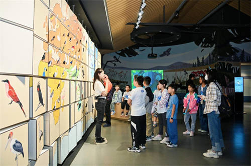 龍湖小龍人計(jì)劃：研學(xué)旅行促成長(zhǎng)，最美課堂在路上