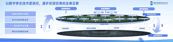 浦東機(jī)場.jpg