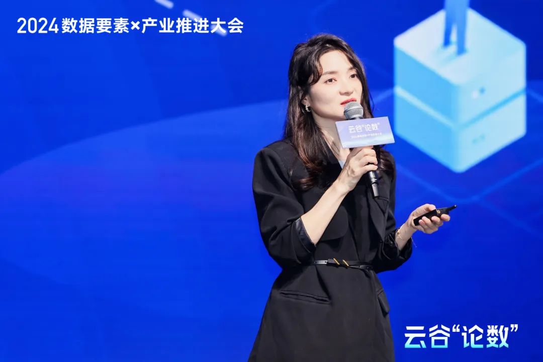 2024云谷“論數(shù)”：數(shù)據(jù)要素×產(chǎn)業(yè)的新要素，新業(yè)態(tài)，新增長