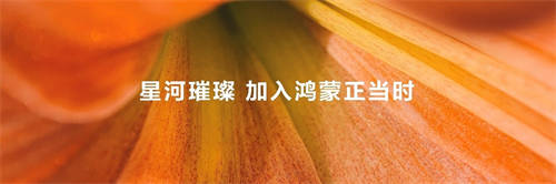 加入鴻蒙正當(dāng)時(shí)，“鴻蒙林”照見(jiàn)原生鴻蒙萬(wàn)物智聯(lián)新世界