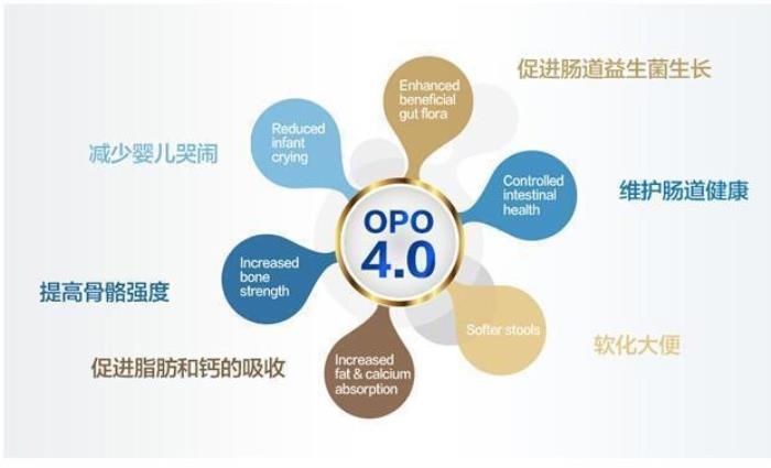 OPO在奶粉中的作用與功效有哪些？精準(zhǔn)科普助力選奶