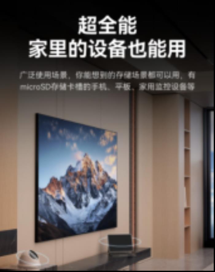 雷克沙推出Professional SILVER PLUS microSD存儲卡，滿足多種設(shè)備需求
