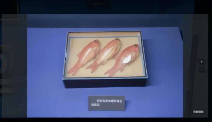 如視x上海公安博物館：觀(guān)數(shù)字博物館，探公安輝煌史