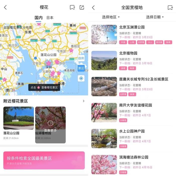 春日繁花上線！墨跡天氣預報App推出賞花路線動態(tài)地圖