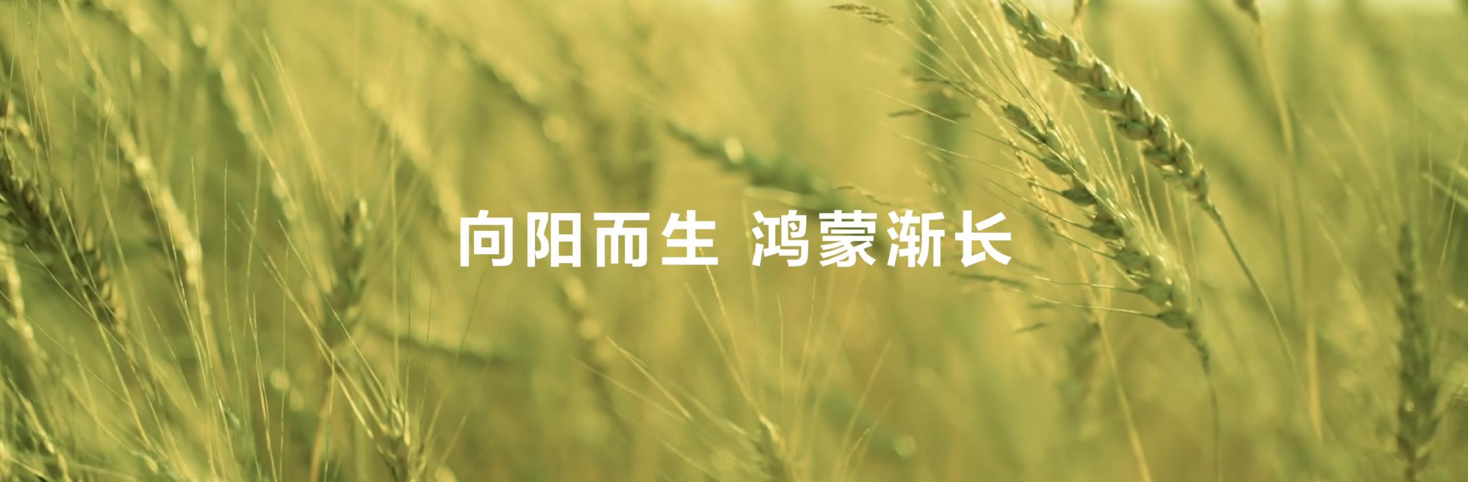 從“被動(dòng)響應(yīng)”到“主動(dòng)服務(wù)”，鴻蒙正在煥新消費(fèi)者智能生活體驗(yàn)