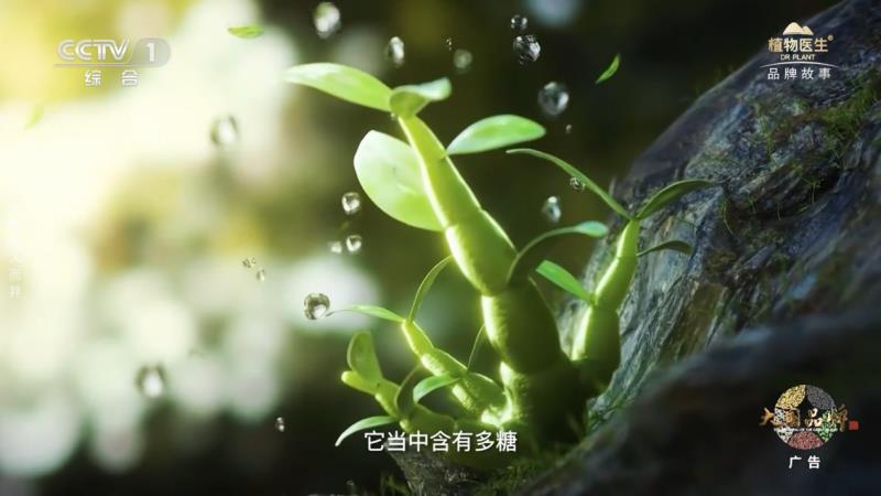 當民族智慧對話央視鏡頭，植物醫(yī)生以中國成分“破壁”敘事