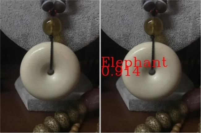 入選聯(lián)合國案例集！AI拯救瀕危動物，飛槳助力清除1.3萬余條非法貿(mào)易廣告