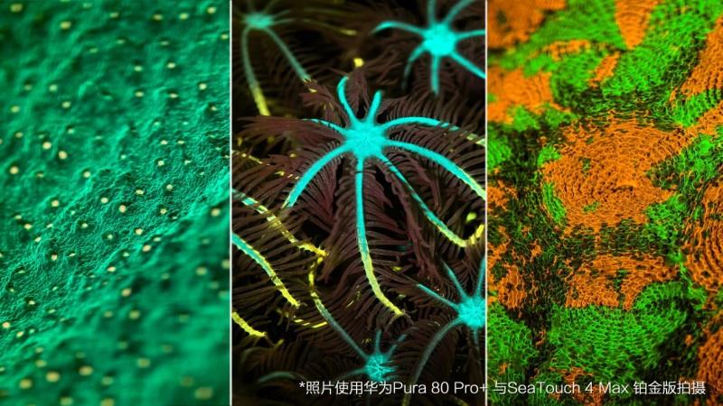 華為發(fā)布HUAWEI Pura 80 Ultra：一英寸超高動(dòng)態(tài)主攝，攜DIVEVOLK全觸屏防水殼探索五彩斑斕的海底世界